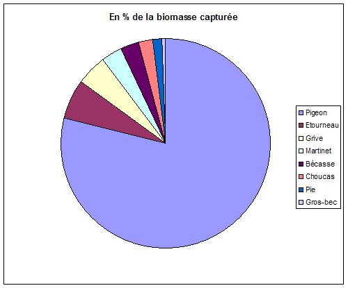 biomasse